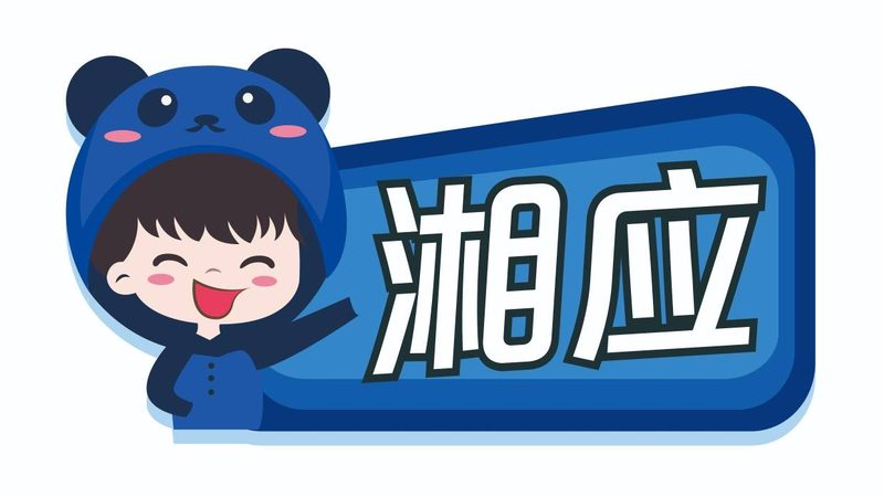 IT咨询性价比高的关键要素揭秘